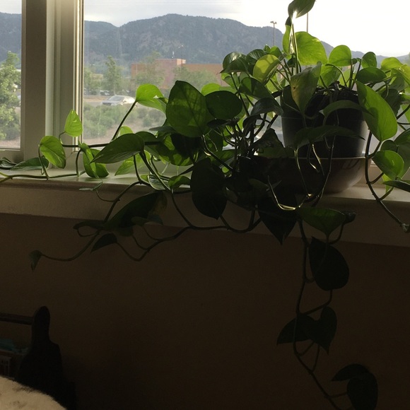 closet • information - Picture 2 of 8